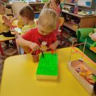 IMG_20221011_101815.jpg
